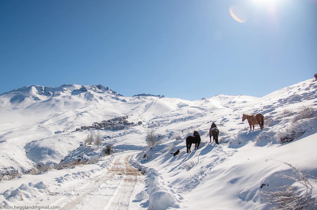 Lodge Cordillera Valle Nevado Ngoại thất bức ảnh